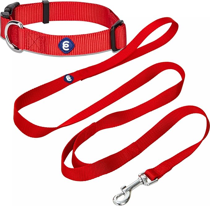 Blueberry Pet Essentials Matching Dog Collar and Double Handle Leash Set in Rouge Red, Adjustable Classic Solid Color Nylon Collar with 5 ft Leash for X-Small Dogs