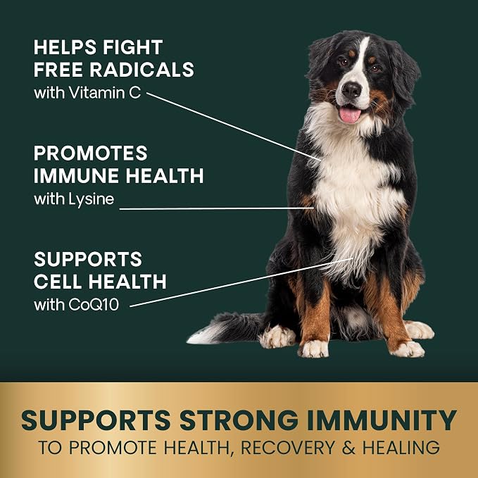 VetriScience Immunity Health for Medium and Large Dogs, 120 Count | Immune Support Supplement for Medium & Large Breed Dogs with Vitamin C, CoQ10 & L-Lysine, Hypoallergenic Formula