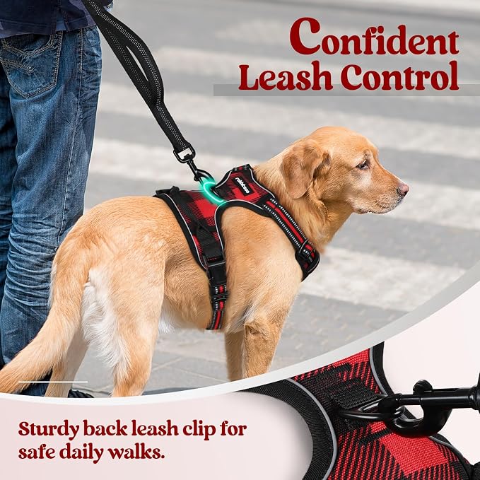 rabbitgoo Dog Harness, No Pull for Large Dogs with 2 Leash Clips, Pet Vest | No Choke with Handle, Adjustable Soft Padded, Reflective, Easy Control for Walking, Red Plaid, Small