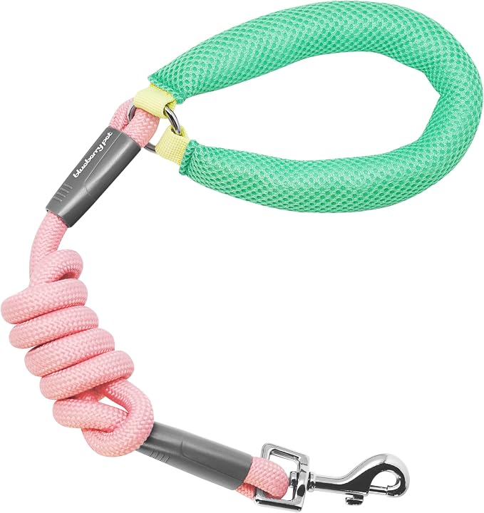 Blueberry Pet Dog Leash 4ft - Vibrant Pink Rope Dog Leash with Coral/Mint Handle, Puppy Essentials for Small Dogs, Comfortable Padded Hold, Pink Leash for Fashionable Pet Owners