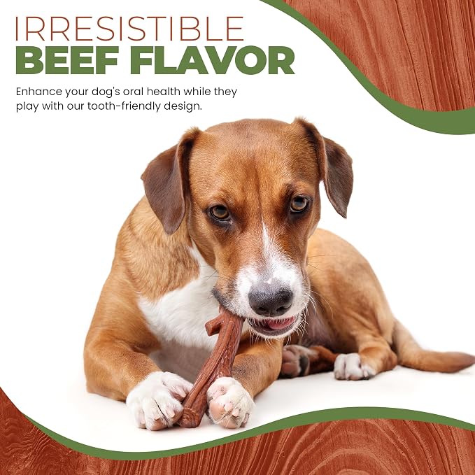 SPOT Bam-Bones Plus Branch -Bamboo Fiber & Nylon, Durable Long Lasting Dog Chew for Aggressive Chewers – Great Toy for Adult Dogs & Teething Puppies Under 90lbs, Non-Splintering, 9.5in, Beef Flavor
