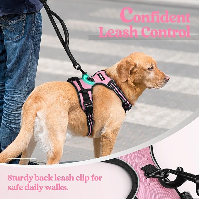 rabbitgoo Dog Harness, No Pull for Small Dogs with 2 Leash Clips, Pet Vest | No Choke with Handle, Adjustable Soft Padded, Reflective, Easy Control for Walking, Pink, Small