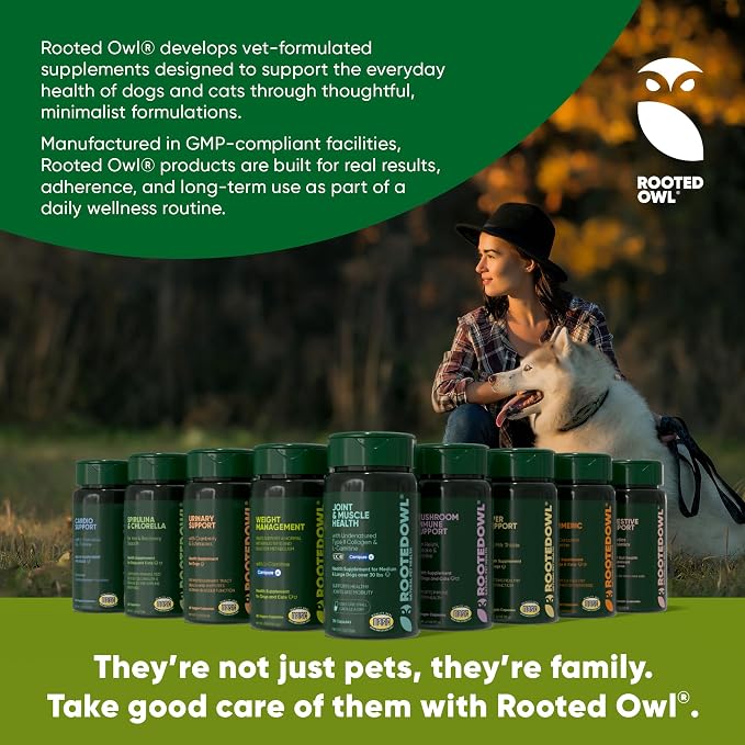 Healthy Weight & Energy Metabolism Supplement for Dogs & Cats