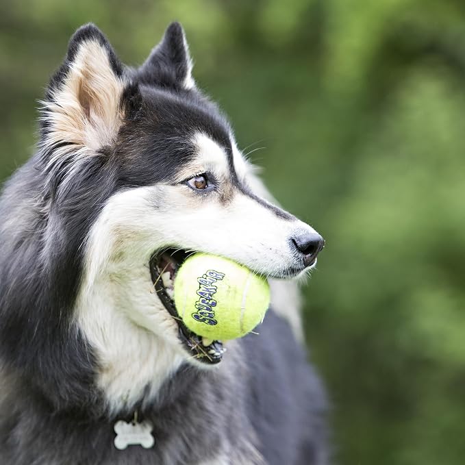 KONG - Squeakair Balls (6 Pack) - Dog Toy Premium Squeak Tennis Balls, Gentle on Teeth - for Medium Dogs