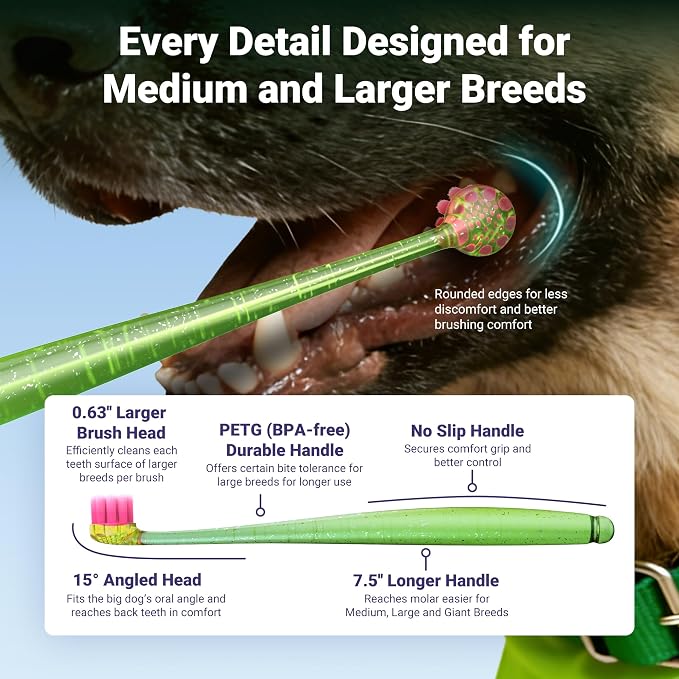 Dog Toothbrush for Medium and Large Dogs, 2pcs, Ultra Soft Bristle, Long-Lasting Handle, Pet Tooth Brush and Dog Dental Care Kit, Super Thin Bristle Gentle on Gum for Sensitive Pets, Green