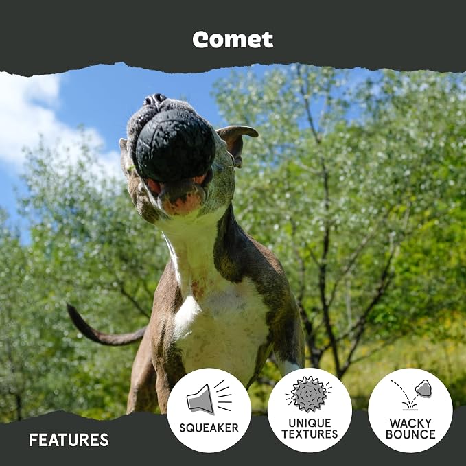 BarkBox Comet Super Chewer - Toy for Small Dogs | Durable Dog Toy for Aggressive Chewers - Treat Dispensing Chew
