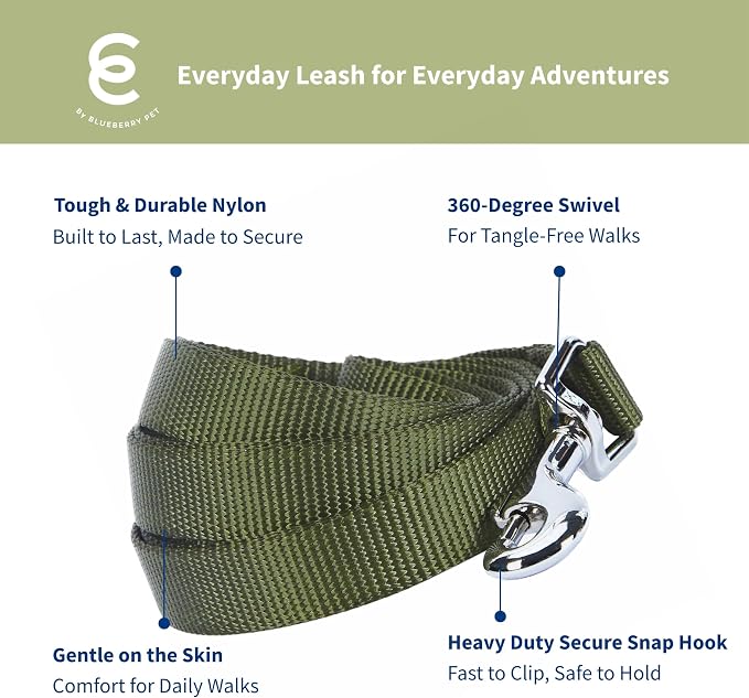 Blueberry Pet Essentials Military Green Dog Leash for Small -5' * 5/8" Dogs | Heavy Duty Nylon Lead | Lightweight Puppy & Cat Leash for Walking & Training