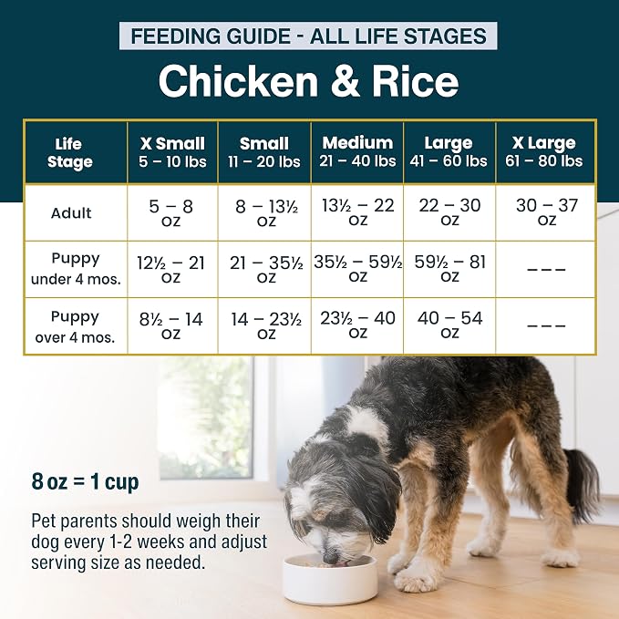 JustFoodForDogs Pantry Fresh Wet Dog Food - Chicken & White Rice, 12.5oz (Pack of 24)