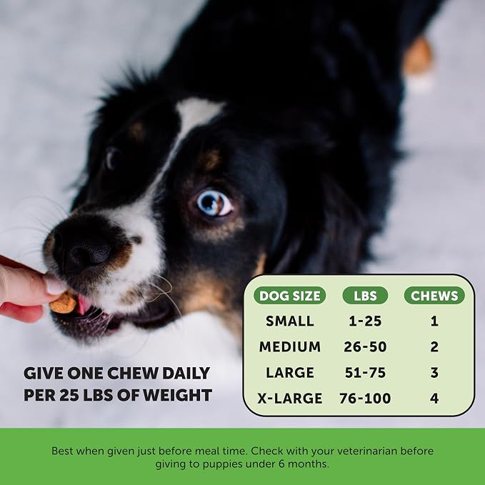 Allergy Itch Relief & Probiotics Virtual Bundle: Dog Allergy Relief & Gut Health Chews (Peanut Butter & Duck 90 ct)