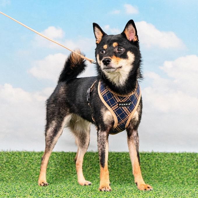 Puppia Corwin Dog Harness A (Over-The-Head) Fashionable Checkered Pattern Spring Summer Harness for Small and Medium Dogs, Navy, X-Large