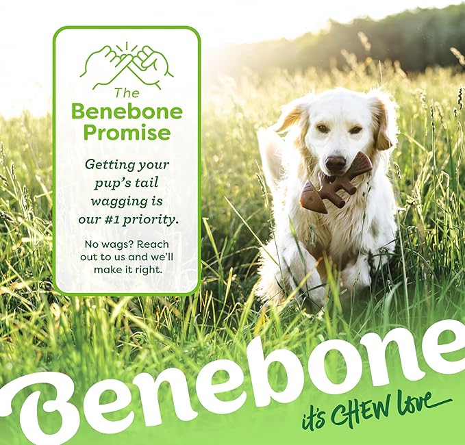 Benebone Fishbone Dog Chew Toy for Aggressive Chewers, Long Lasting, Made in USA, Large