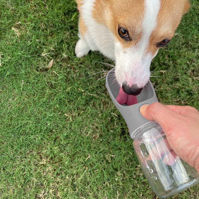WePet Portable Dog Water Bottle with Food Container, 12oz+6oz