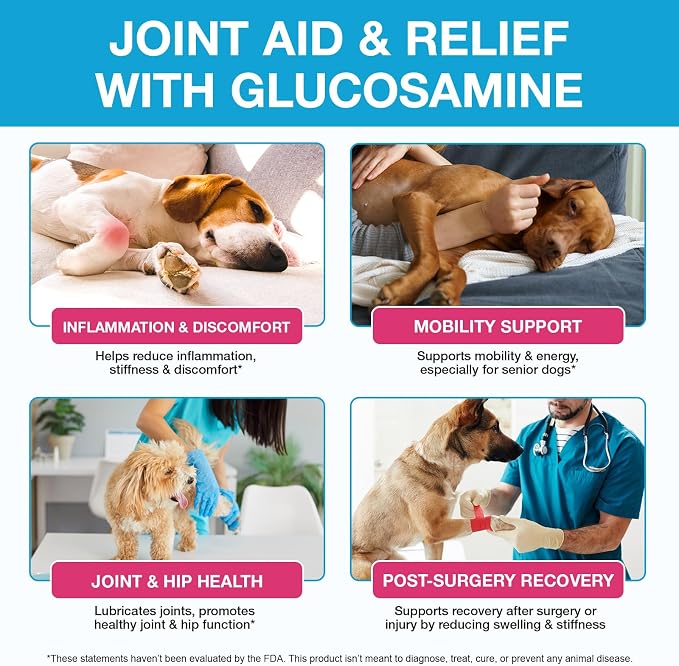 Pain Relief for Dogs, Hip & Joint Glucosamine Drops, Chondroitin Drops for Dogs, Natural Formula with Essential Nutrients for Active & Aging Dog, 60ml