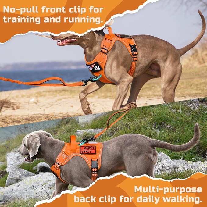 rabbitgoo Tactical Dog Harness for Small, No Pull Military Service Vest | Molle & Handle, Heavy Duty, Adjustable, Reflective Straps, Easy Control for Training Walking, Orange, Small