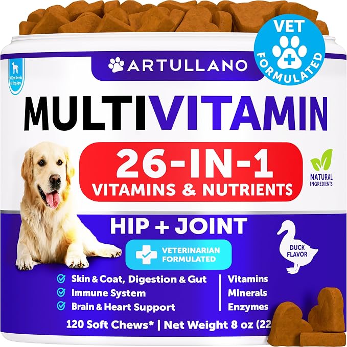 Dog Vitamins - 120 Treats - Dog Multivitamin Supplement - 26 in 1 Nutrients