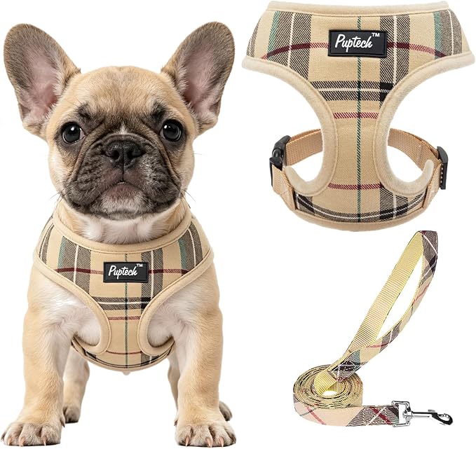 Pupteck Soft Mesh Dog Harness Sized and Leash Set Pet Puppy Cat Comfort Padded Vest No Pull Harnesses, Beige, Medium