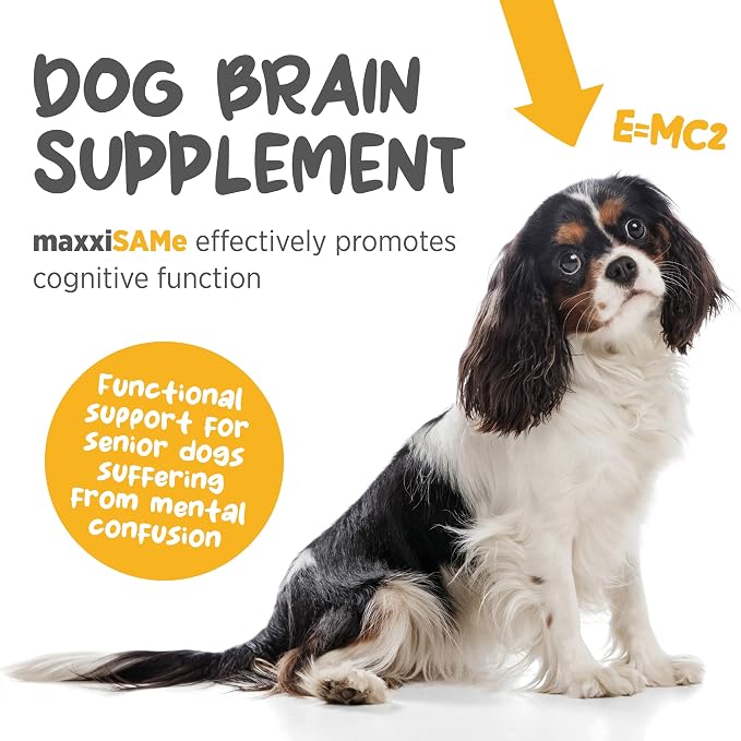 maxxipaws maxxiSAMe SAM-e for Dogs, Liver & Cognitive Support Powder 5.3 oz
