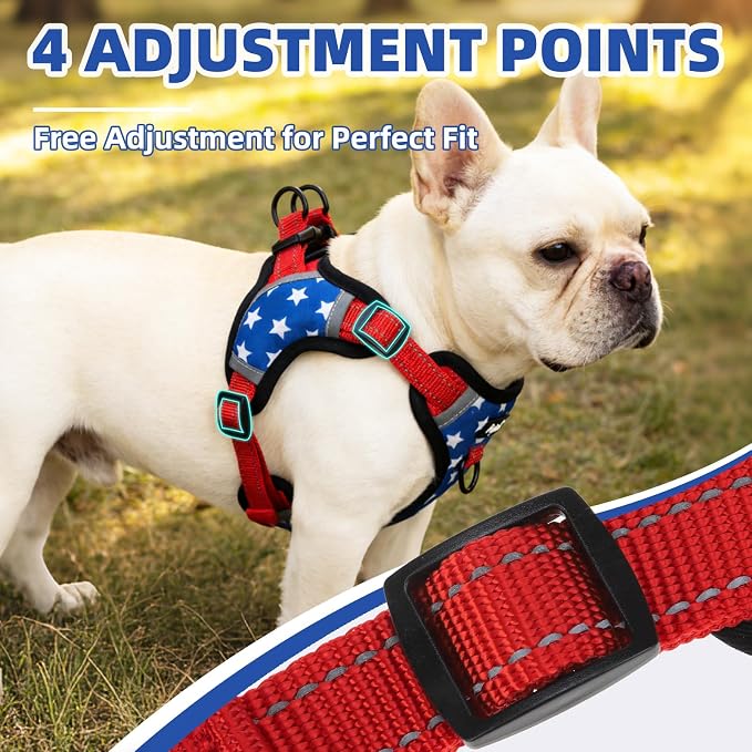 PUPTECK Dog Harness Small Sized Dog, Step in Adjustable Reflective Dog Vest Harness Escape Proof, No Pull Soft Padded Harness Easy Control, Star, M