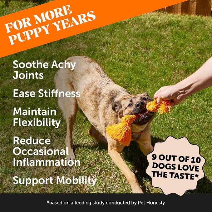 11-in-1 Advanced Hip + Joint Supplement for Dogs - Mobility Support with Glucosamine Chondroitin, Turmeric, & Green Lipped Mussel, MSM - Soothes Joint Stiffness & May Reduce Discomfort (Bacon, 90 Ct)