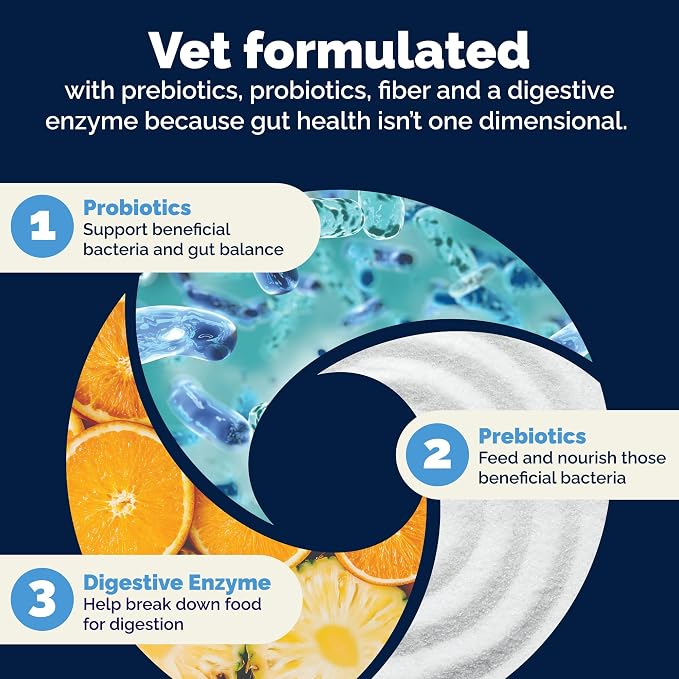Vetnique Glandex Probiotic Powder for Dogs - 4.25oz, Pork Flavor