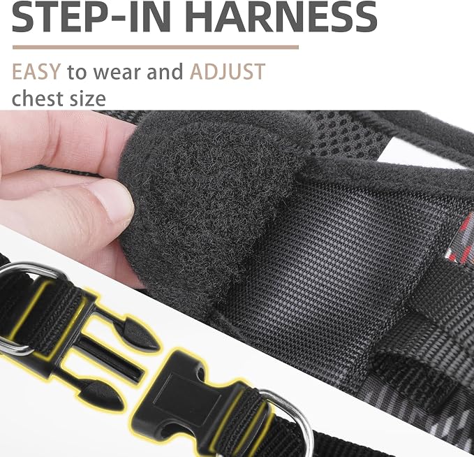 PUPTECK Dog Harness and Leash Set for Small Medium Dogs No Pull Step-in Soft Mesh Puppy Cat Vest Harnesses Reflective at Night, Plaid Pattern Black S