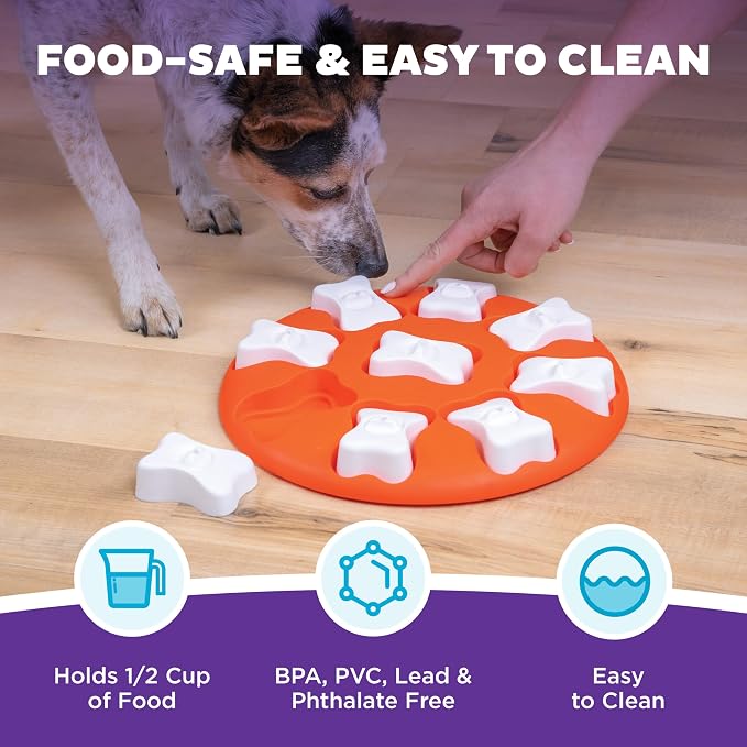 Outward Hound Nina Ottosson Dog Smart Dog Toy Treat Puzzle, Enrichment, 11"