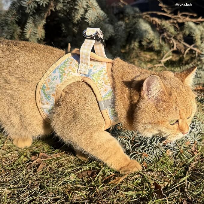 Lucy & Co. Sunshine and Daffodils Step-in Cat Harness and Leash Set Bundle, Escape Resistant Comfort Fit, Medium