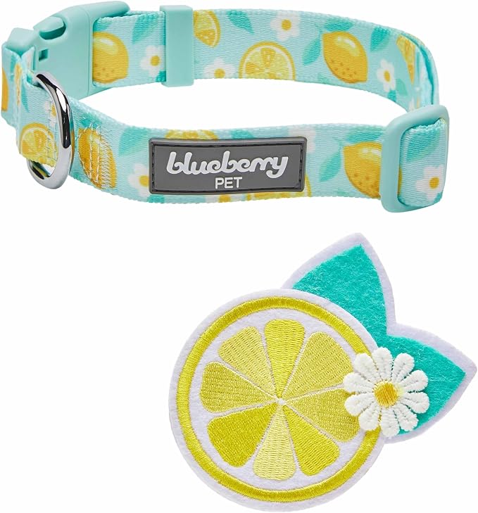 Blueberry Pet Zesty Fruit Dog Collar, Adjustable Small Size, Neck 12”-16”, Refreshing Lemon Print, Summer Citrus Pet Collar