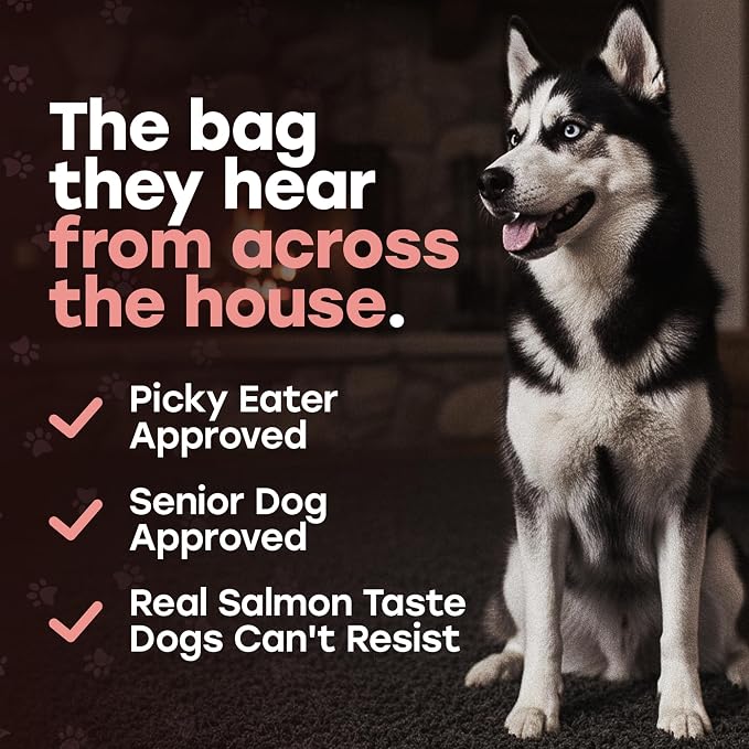 Wild Catch Treats – Freeze Dried Salmon & Sweet Potato Dog Treats – Single Protein, 43% Protein, 3% Omega-3 – Raw Training Treats & Meal Topper – Grain Free – 5.5 oz (300 Count)