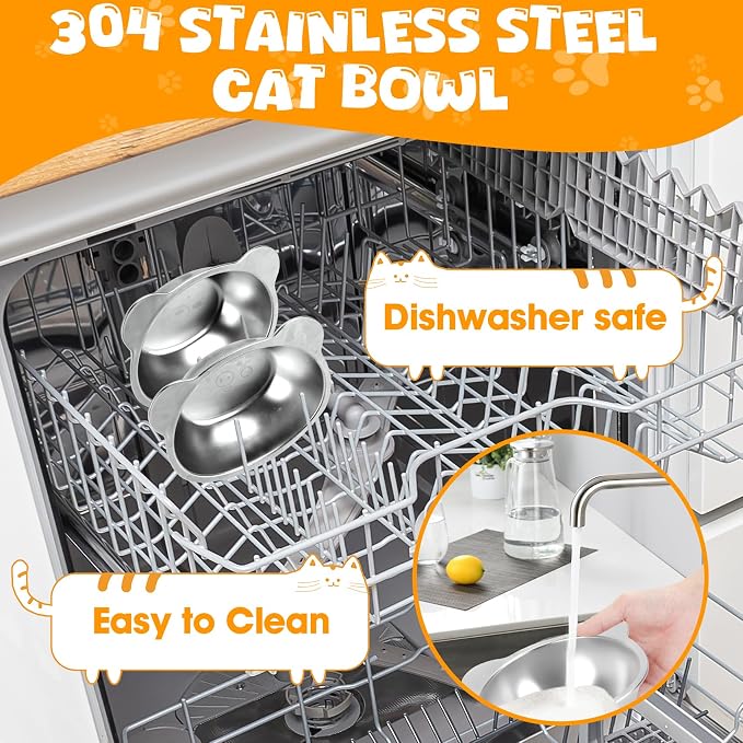 Elevated Cat Bowls, 2 Pack Raised Cat Food Water Bowls with Non-Slip Placemat, 15° Tilted Stand Anti Vomiting Stainless Steel Pet Food Feeding Dishes Plate for Cats Kitten Puppies Dogs Small Animals