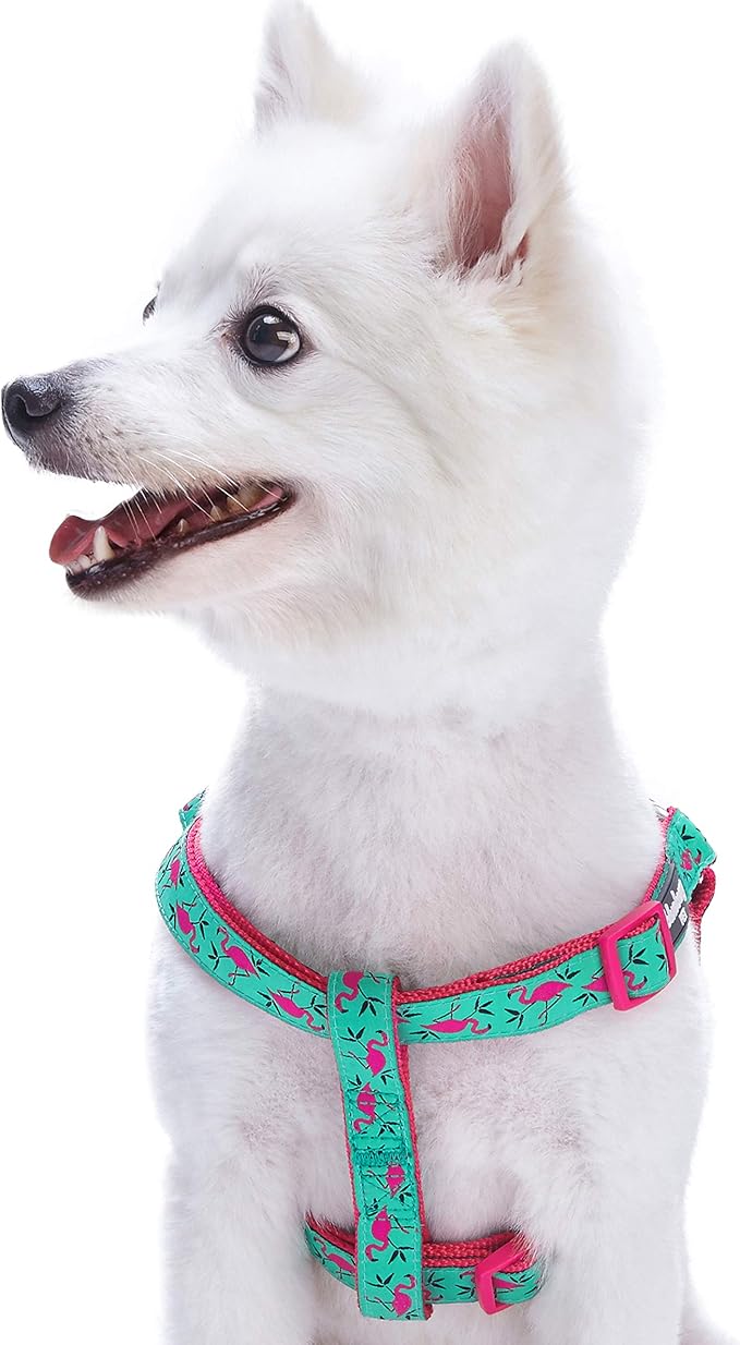 Blueberry Pet Essentials 2 Patterns Step-in Pink Flamingo on Light Emerald Dog Harness, Chest Girth 20" - 26", Medium, Adjustable Harnesses for Dogs