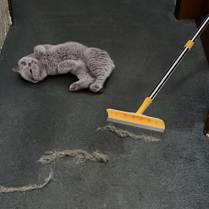 Carpet Rake for Pet Hair Removal, Metal, Xtra