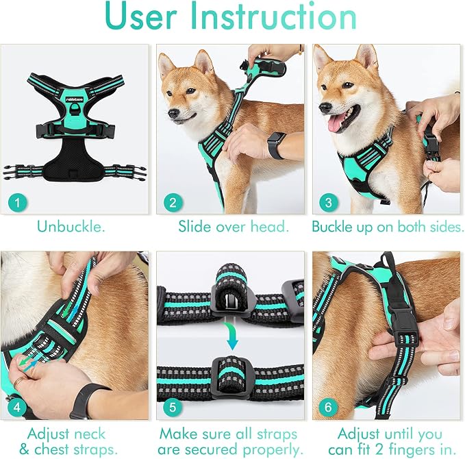 rabbitgoo Dog Harness, No Pull for Large Dogs with 2 Leash Clips, Pet Vest | No Choke with Handle, Adjustable Soft Padded, Reflective, Easy Control for Walking, Turquoise, Large