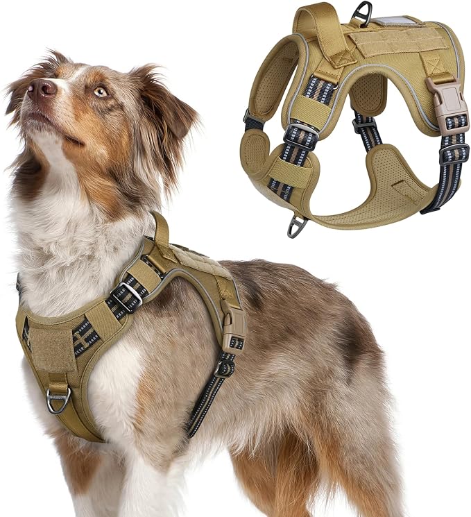 rabbitgoo Tactical Dog Harness for Medium, No Pull Military Service Vest | Molle & Handle, Heavy Duty, Adjustable, Reflective Straps, Easy Control for Training Walking, Brown, Medium