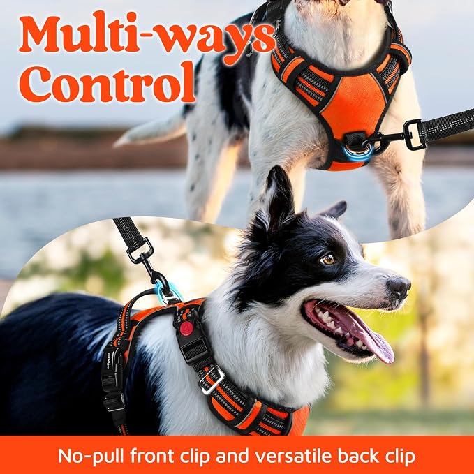 rabbitgoo Dog Harness Small Sized, No Pull 3 Buckles Easy On & Off | Soft Padded, Walking with Control Handle, Adjustable and Reflective, Orange, Small