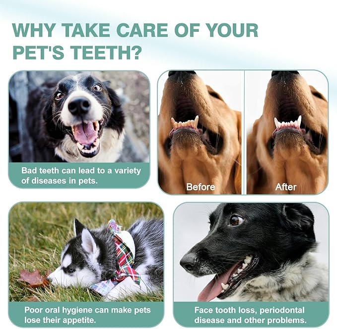 4Pcs Professional Pet Toothbrush, Dog & Cat Soft Bristle Double-Sided Brush Head Set, Pet Brushing Teeth to Clean Teeth to Reduce Tartar Buildup, Pet Dental Care Essentials