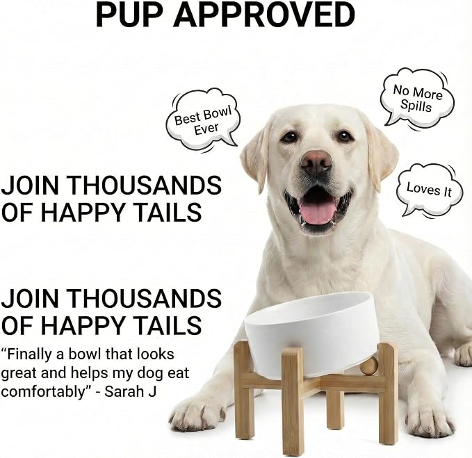 hjn Elevated Ceramic Dog Bowl 15°Slanted Raised Dog Bowl with Bamboo Stand for Small Medium Dogs and Cats, Pet Feeder -7.6-Cup (1800ml)-White