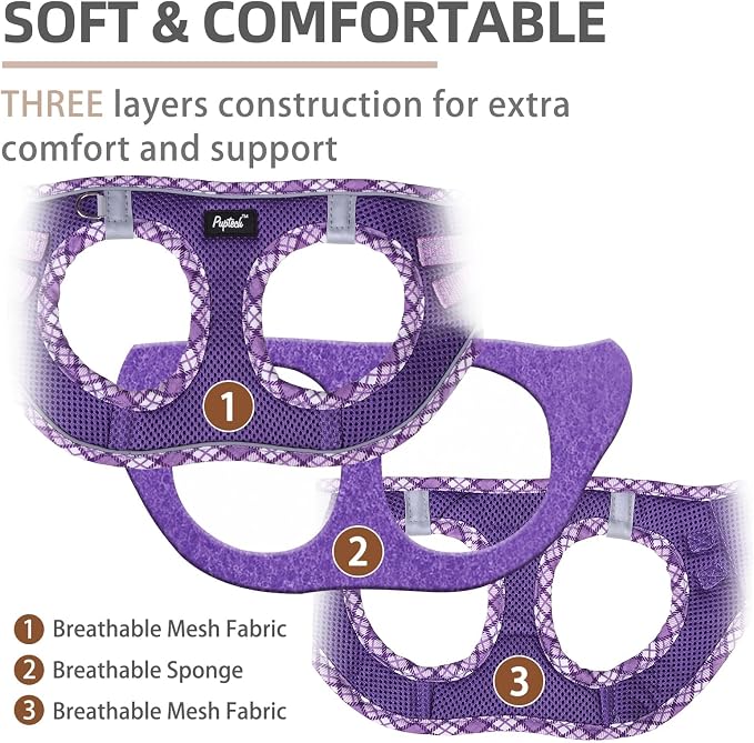 PUPTECK Dog Harness and Leash Set for Small Medium Dogs No Pull Step-in Soft Mesh Puppy Cat Vest Harnesses Reflective at Night, Upgraded New Purple XS