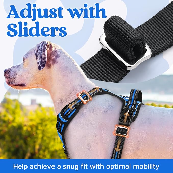 rabbitgoo Dog Harness for Large, No Pull 3 Buckles Easy On & Off | Soft Padded, Walking with Control Handle, Adjustable and Reflective, Blue, Large