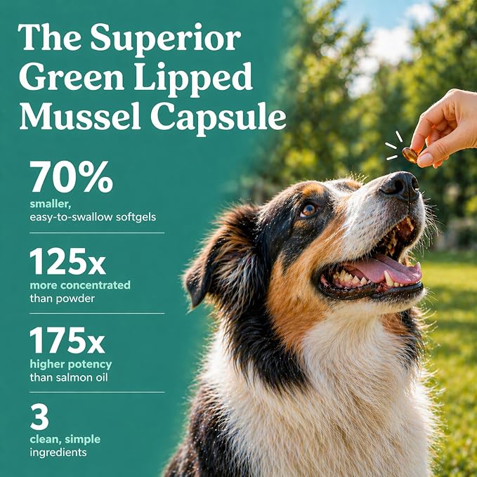 GLX3 Green Lipped Mussel Oil for Dogs | Joint & Hip Comfort Omega-3 Supplement | Ideal for All Dog Breeds and Ages | 1 Month Supply, 60 Gel Capsules w/Natural Ingredients