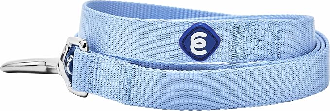 Blueberry Pet Essentials Chambray Blue Dog Leash for Small -5' * 5/8" Dogs | Heavy Duty Nylon Lead | Lightweight Puppy & Cat Leash for Walking & Training