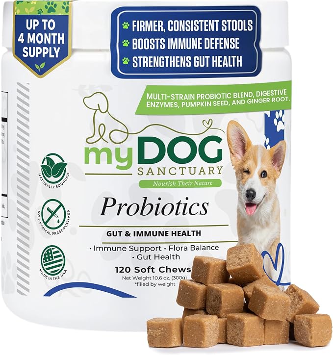 Probiotics for Dogs – 120 Soft Chews, Bacon Flavor | Digestive Enzymes, Gut Health & Immune Support with Pumpkin Seed & Ginger | for All Breeds
