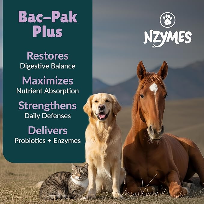 Nzymes Bac-Pak Plus 200 Grams Digestive Enzymes and Probiotics for Digestion, Loose Stools, Diarrhea, Constipation, Improved Nutrient Uptake - Made in The USA
