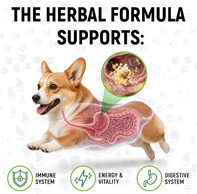 Liquid Probiotics for Dogs & Cats of All Ages | Dog Probiotics to Provide Digestion Balance | Prebiotic Blend for Harmonious Food Absorption | 3 Billion CFU | Herbal Flavor | 2 Oz