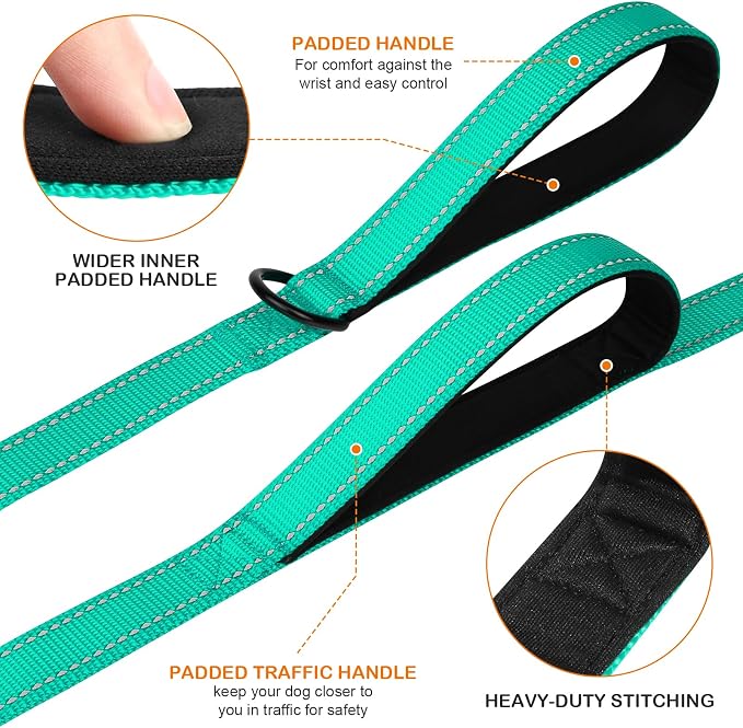Joytale Dog Leash for Large Dogs that Pull, Double Handle, 6FT, Teal | Traffic Handle for Control, Padded Handle Reduces Hand Strain, Reflective Stitching for Night Safety, Strong Nylon Webbing