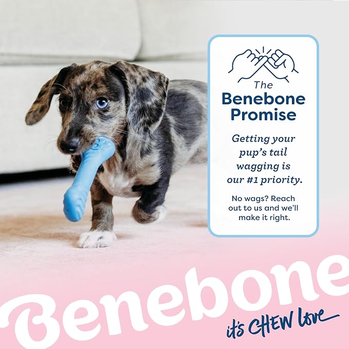 Benebone Puppy 2-Pack Rubber Bone/Wishbone Bacon Tiny | Dog Bones, Puppy Teething Toys, Puppy Toys, Long-Lasting
