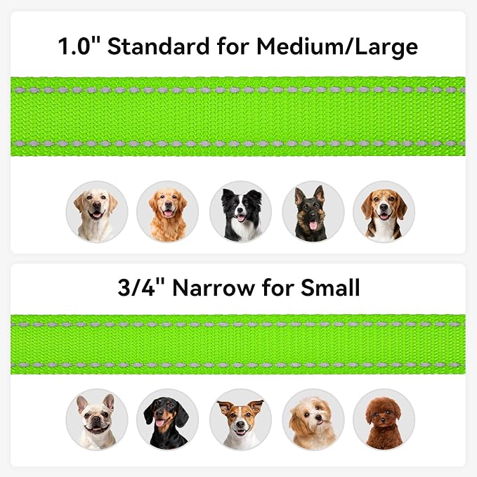 Joytale Reflective Dog Leash for Small Dogs, 4 FT x 3/4", Green | Heavy Duty Nylon Webbing, Padded Handle for Comfort, Visible at Night, for Walking & Training