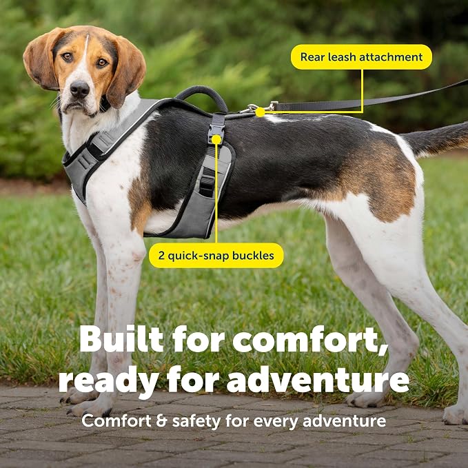 PetSafe EasySport Dog Harness, Charcoal Gray, Large | Padded, Elastic Neckline Harness for Active Dogs, Reflective Piping for Visibility, Top Control Handle, Rear Leash Clip