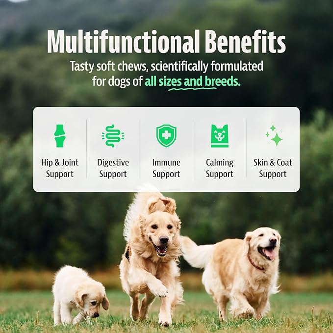 25-in-1 Dog Multivitamin (100 Chews) - Joint, Skin & Coat, Digestive, Immune & Calming Support - Daily Human Dog Vitamins with Glucosamine, Probiotics & Omega 3 - Chicken Flavor