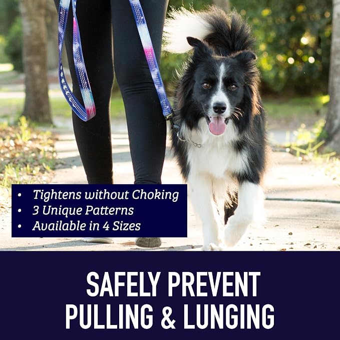 Leash Boss Martingale Collar for Dogs - Steel Chain | Reflective Nylon Dog Collar for Large Dogs, Medium and Small Dogs | No Pull Pet Training Collar Small